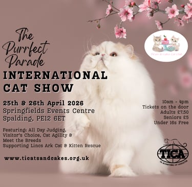 TiCats and Cakes Cat Club International Cat Show Poster