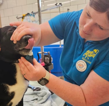 Hannah at Shampaws Nutrition & Wellness