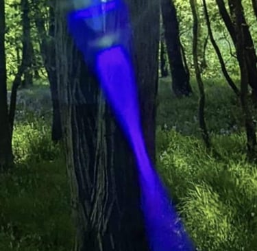 Awakened Stories Orbs and Entities