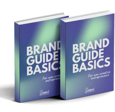 brand guide book