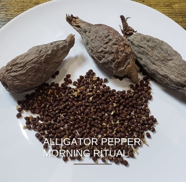 alligator pepper morning ritual