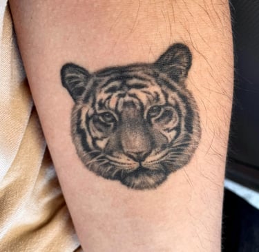 Sugijusi detali tigro tatuiruote ant rankos