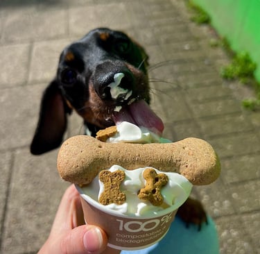 Image of a dog licking a pot of Puppachino. It consistes of whipped cream and doggy biscuits.
