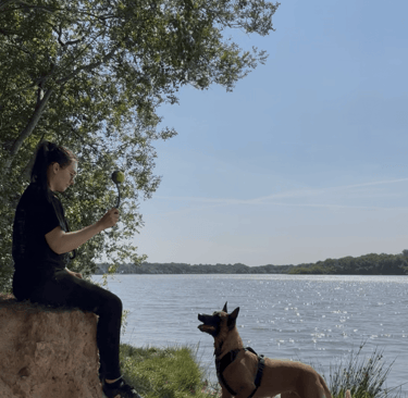 Promenade avec un chien