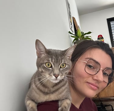 Cat sitting