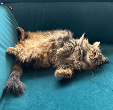 Chat