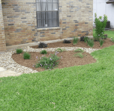 Garden bed upgrade 