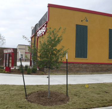 Lacey Oaks installed 