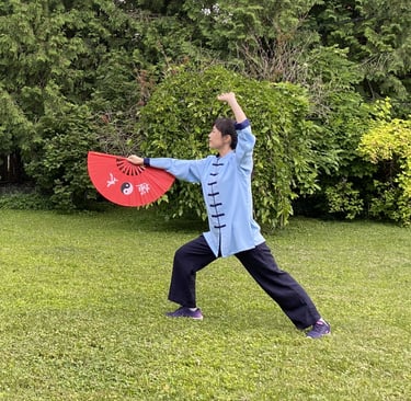 Tai Chi Fan Performance and Tai Chi Fan Training