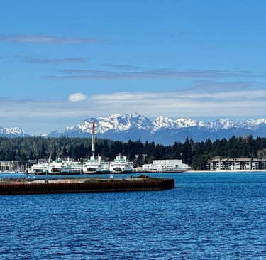 Multiple ferries on Bainbridge Island with the Olympics in the background