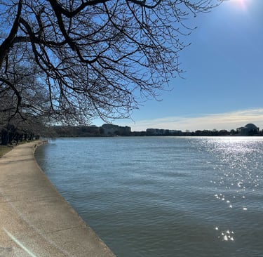 If you cross the Washington DC tidal basin