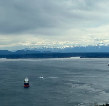 the western view from the space needle, overlooking the puget sounds and the olympic range