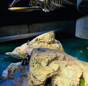 Penguins under a whale skeleton