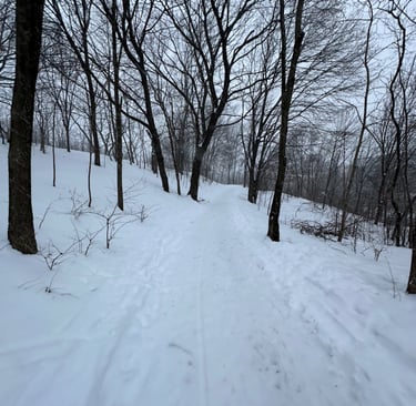a snowy train at Mont-Royal