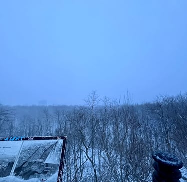an overlook from Mont-Royal looking into a white wall of snow