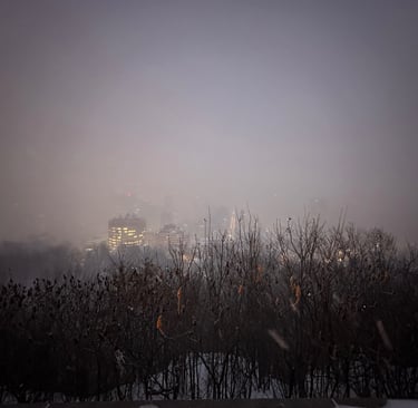 A very snowy Montreal skyline from Kondiaronk Belvedere