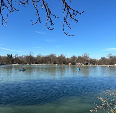 a lake with rowboats on it and a blue sky above