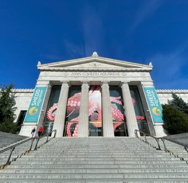 Shedd Aquarium in Chicago, a white neo classical building with columns
