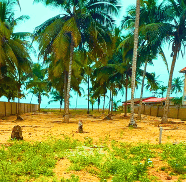 Leslie's Beachfront Land in Ghana