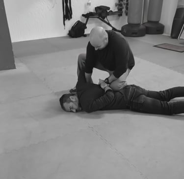 Protocollo Gestione soggetti ostili