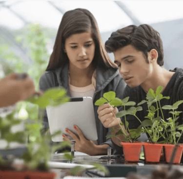 students in greenhouse