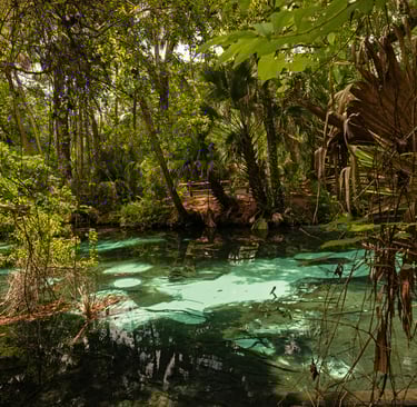 beautiful Rainbow Springs in Florida