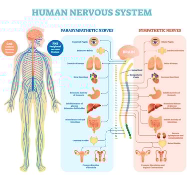 Credits: Getty Images