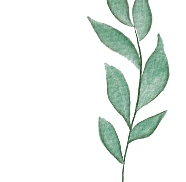 Ilustração delicada de folhas verdes em aquarela, elemento decorativo de terapia floral.
