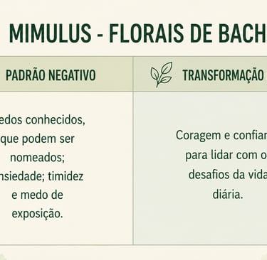 Sintomas de quem precisa do floral Mimulus e a transformação positiva que ele promove