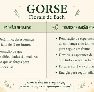 Transformação positiva que o floral Gorse promove, renovando a fé e a esperança.