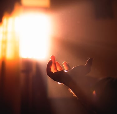 Imagem representando a luz da esperança que o floral Gorse devolve