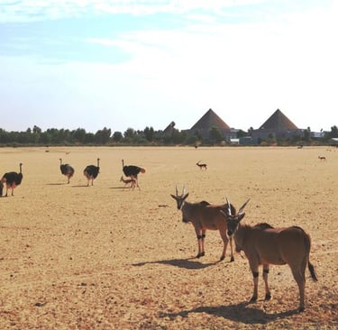 NOFA WILDLIFE PARK