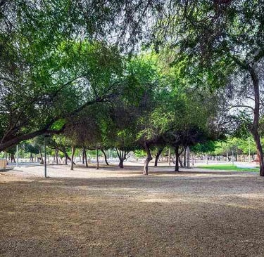 deffi-park-green-space