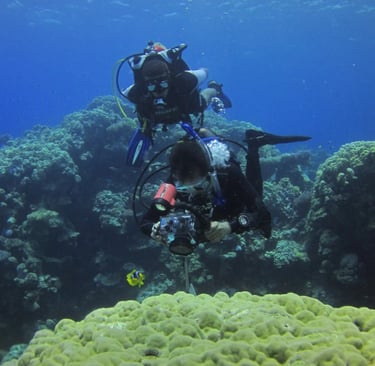 Photo alumna dives into coral wonderland in the Philippines as Fulbright fellow