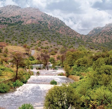 saysaad