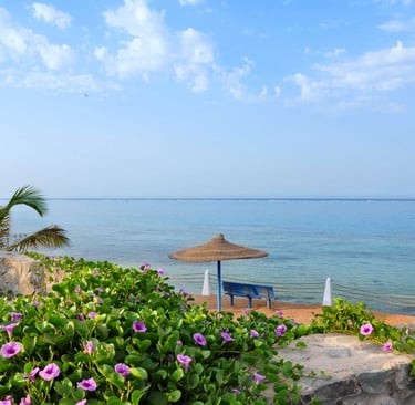 yanbu-city-beach