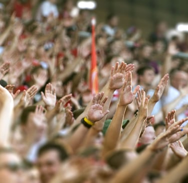 Crowd Management