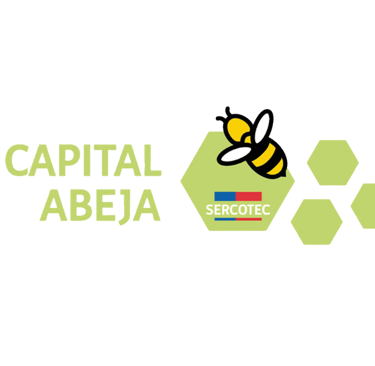 Capital Abeja Sercotec - Profity