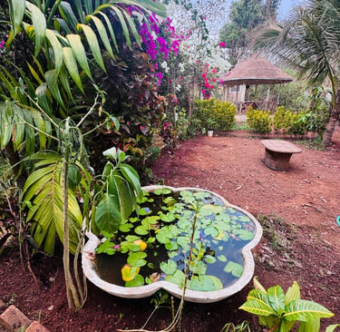 How to reach Shanti MIZU yoga retreat center from Mopa airport Goa