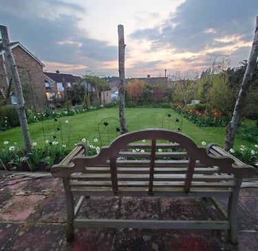 Daffodils and Tulips in flower beds around the edge of a square lawn