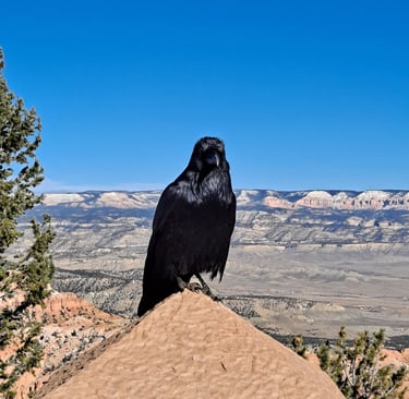 Finn's Footprints Utah Budget Travel Review