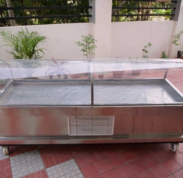 Dead Body Freezer Box On Rent