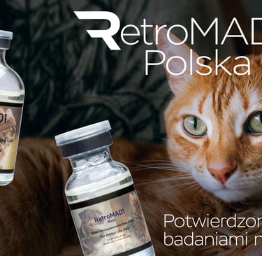 retromad-1-kupic-buy-polska-wirusy