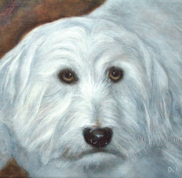 "Max"  Oil on Canvas   9"x12"