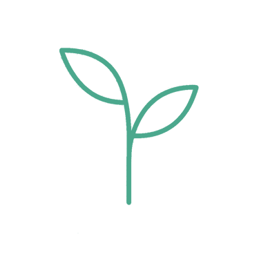 Una planta amb eines de jardí que simbolitza l’aprenentatge en contacte amb la natura i l’hort