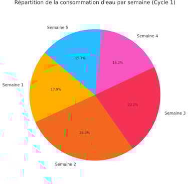 Répartition de l'arrosage du basilic selon les besoins en culture vivante