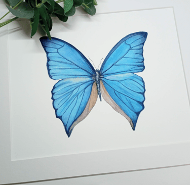 Blue Butterfly art print