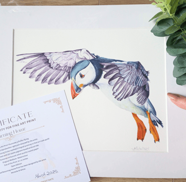 Puffin Art Print