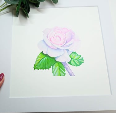 Soft Rose Art Print