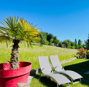 jardin et vue Mont Blanc